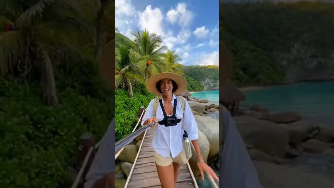 stream from paradise