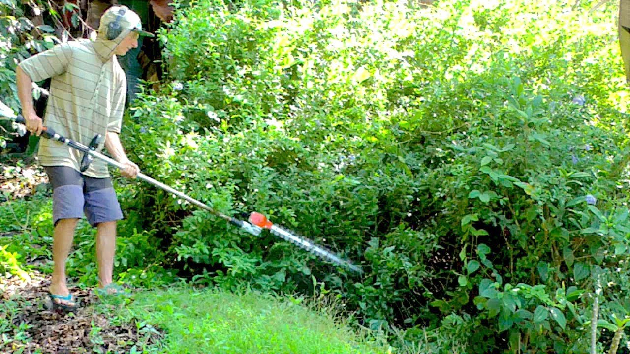 Using a Gas Powered Hedge Trimmer YouTube