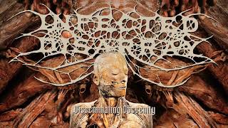 Infected Disarray - Disseminating Obscenity (Official Stream)