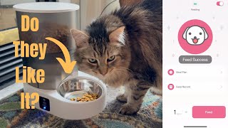 Rechargeable Smart Cat Feeder | 5G WiFi App Control screenshot 4