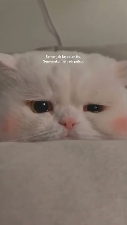 ⛔️ STORY WA || SEMENJAK KEJADIAN ITU, SENYUM KU MENJADI PALSU …………………✅