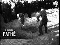 Queen Wilhelmina Plants Tree (1948)