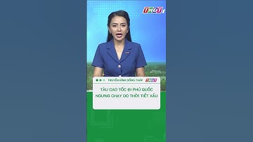 Tàu cao tốc đi Phú Quốc ngưng chạy do thời tiết xấu #shorts