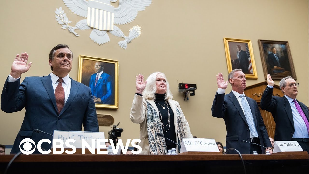 ⁣House Republicans contradicted by their own witnesses at Biden impeachment hearing