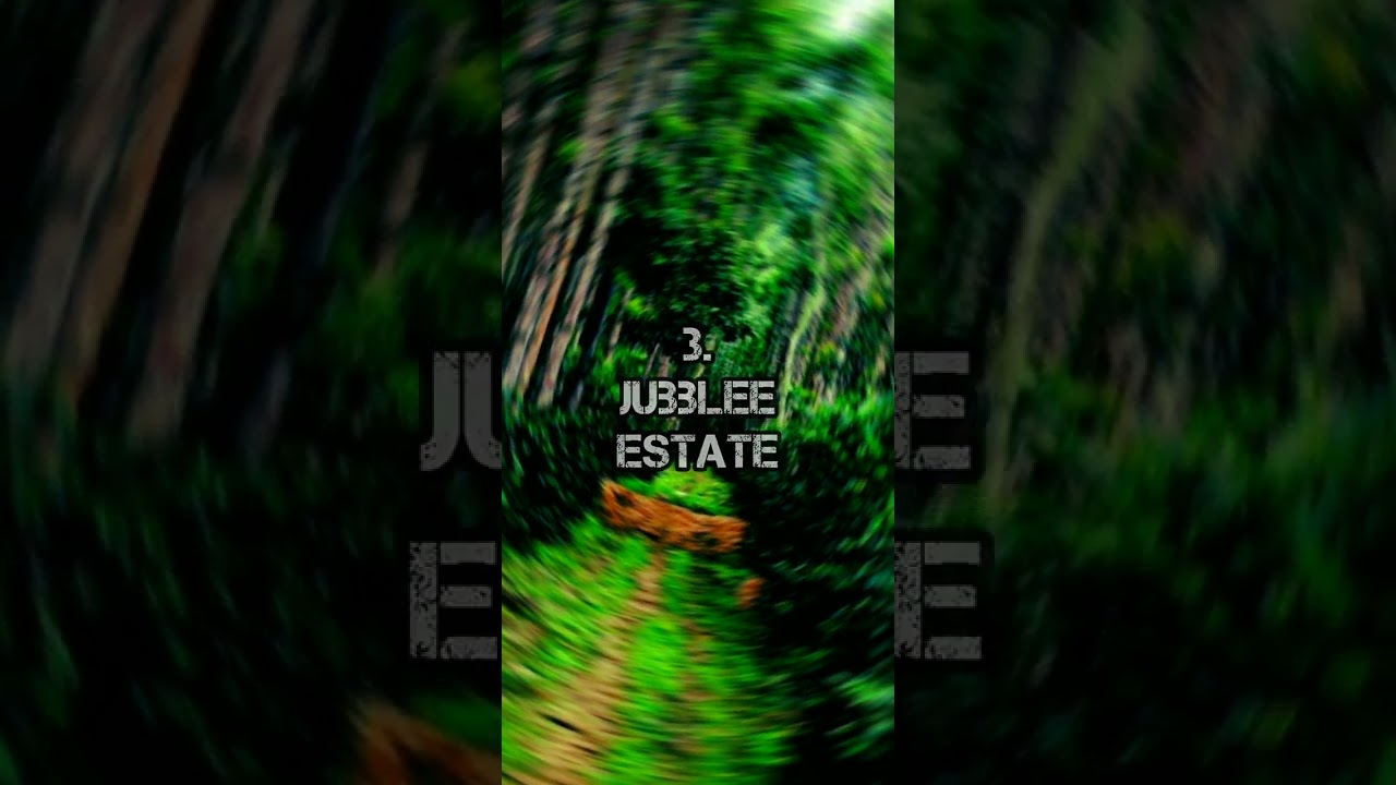 top 3 biggest estate in yercaud (yercaud plantation)