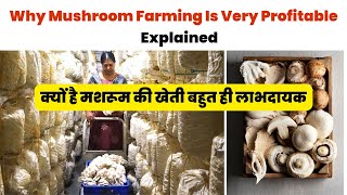 Why Mushroom Farming Is So PROFITABLE | Mushroom Market Trend #mushroombusiness #bmmushroom