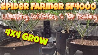 4x4 Grow / Spider Farmer SF4000 / Lollipopping, Defoliation, & Top Dressing - Photoperiods