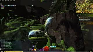 GW2 - Dive Master Chak Hive Mastery Point Location (Tangled Depths)
