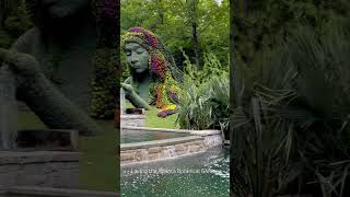 Todd and Rob Exploring the Atlanta Botanical Garden #shorts