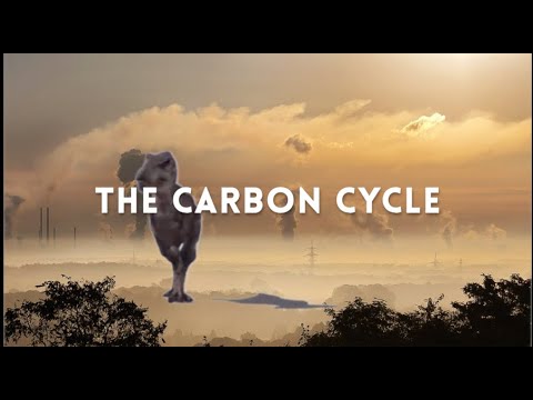High School: The Carbon Cycle