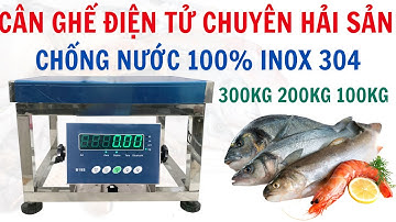 🐟 Cân Điện Tử Hải Sản – Chống Nước, Chống Rỉ Sét, Siêu Bền 300kg / 200kg / 100kg