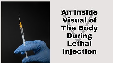 An Inside Visual of The Body During Lethal Injection