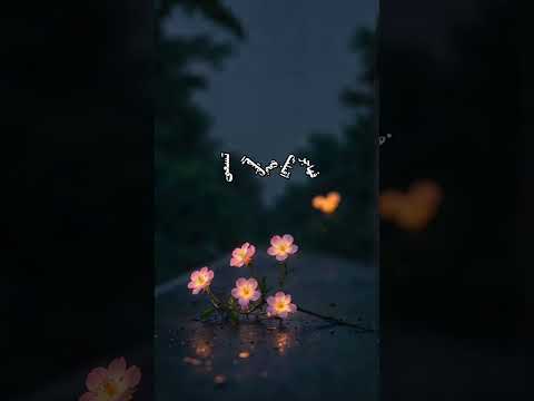 لاتيأس ان خير الله ات