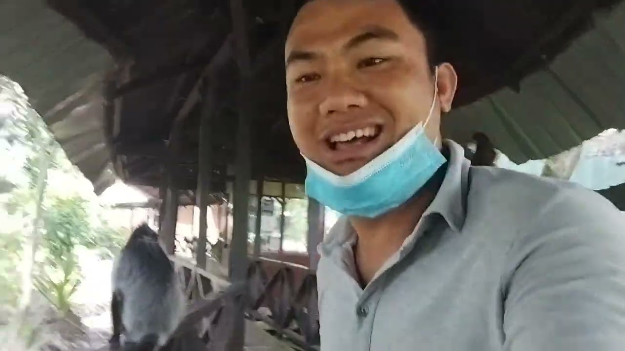 PROBOSIS MONKEY SANCTUARY SANDAKAN(LABUK BAY/ siapa sudah datang sini Tompinai?