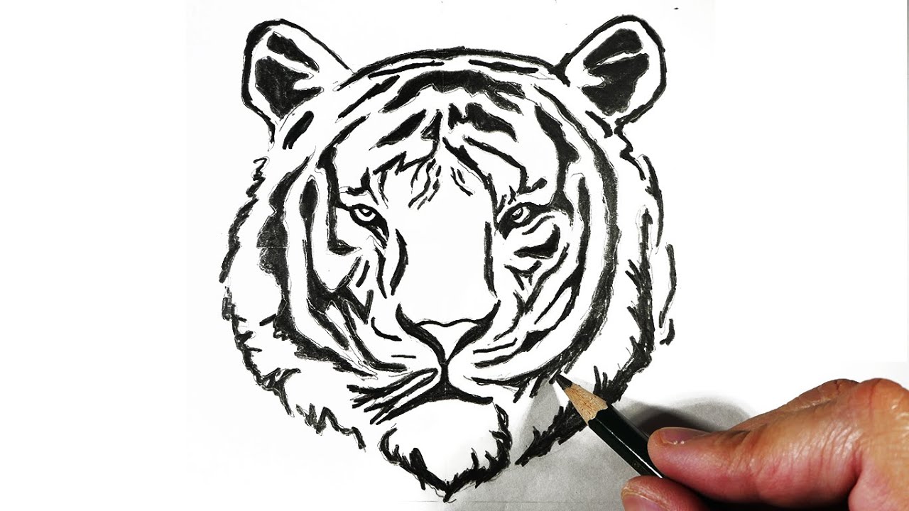 Top 99+ imagen dibujos de tigres a lapiz