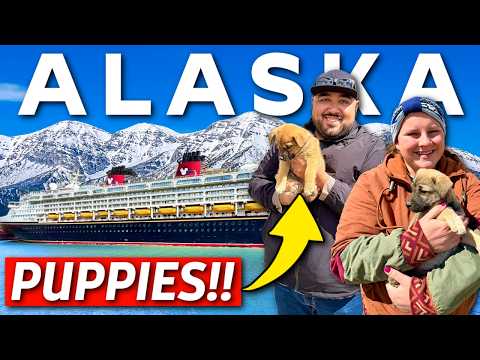 We Played With Sled Dog PUPPIES In Skagway Alaska! Disney Cruise Vlog 2026!
