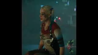 𝑬𝒍𝒂𝒔𝒕𝒊𝒄 𝑯𝒆𝒂𝒓𝒕 || 𝑯𝒂𝒓𝒍𝒆𝒚 𝑸𝒖𝒊𝒏𝒏