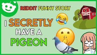 I SECRETLY HAVE A PIGEON - Reddit Funny Story