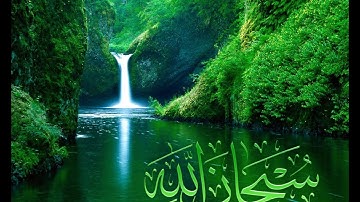 تلاوة رائعة لاية ﴿ووصينا الانسان بوالديه احسانا﴾ الشيخ احمد العجمي www.qoranet.net