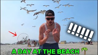 A Day In New Jerseys Most Popular Beach…