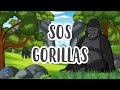 Gorillas: Understanding and Conservation
