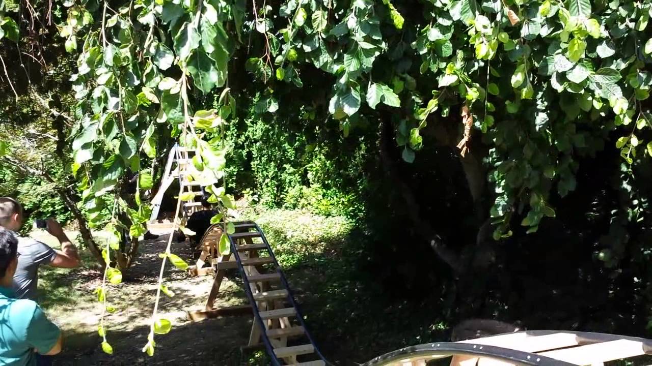 an engineer rides the backyard roller coaster - YouTube