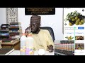KHADIMOUL MOUSLIMINE MOUHAMADOU LAMINE NDIAYE, II GUÉRIT TOUTES SORTES DE MALADIES