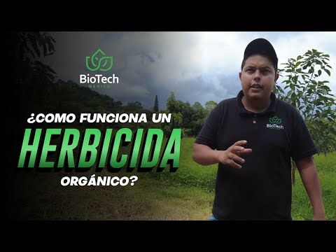 Video: ¿Funcionan los herbicidas naturales?