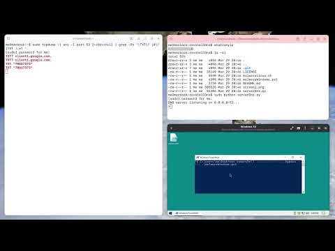 DNS Reverse Shell using arbitrary domain names (google.com)