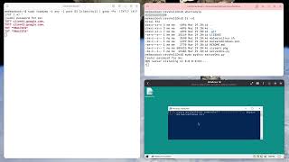 DNS Reverse Shell using arbitrary domain names (google.com)