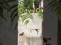 Help me quit my job #challenge #pixelart #countdown