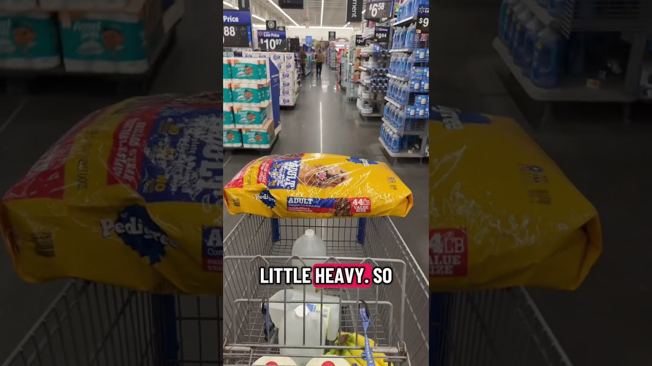 Another Spark delivery run — but was it profit or loss? 💸