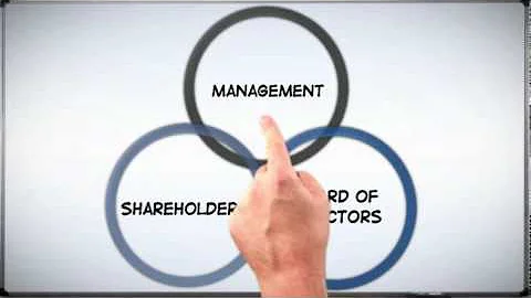 Corp 101: The Basics of Corporate Structure