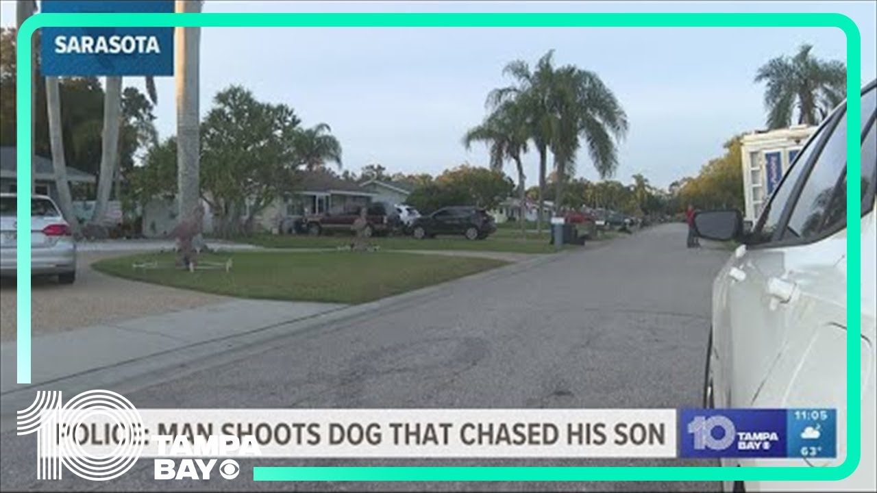 Police: Sarasota man shoots dog that chased his son - YouTube