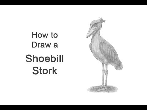 Stork Watercolor on White Background. Bird Illustration Stock Image - Image  of stork, sketch: 222664757