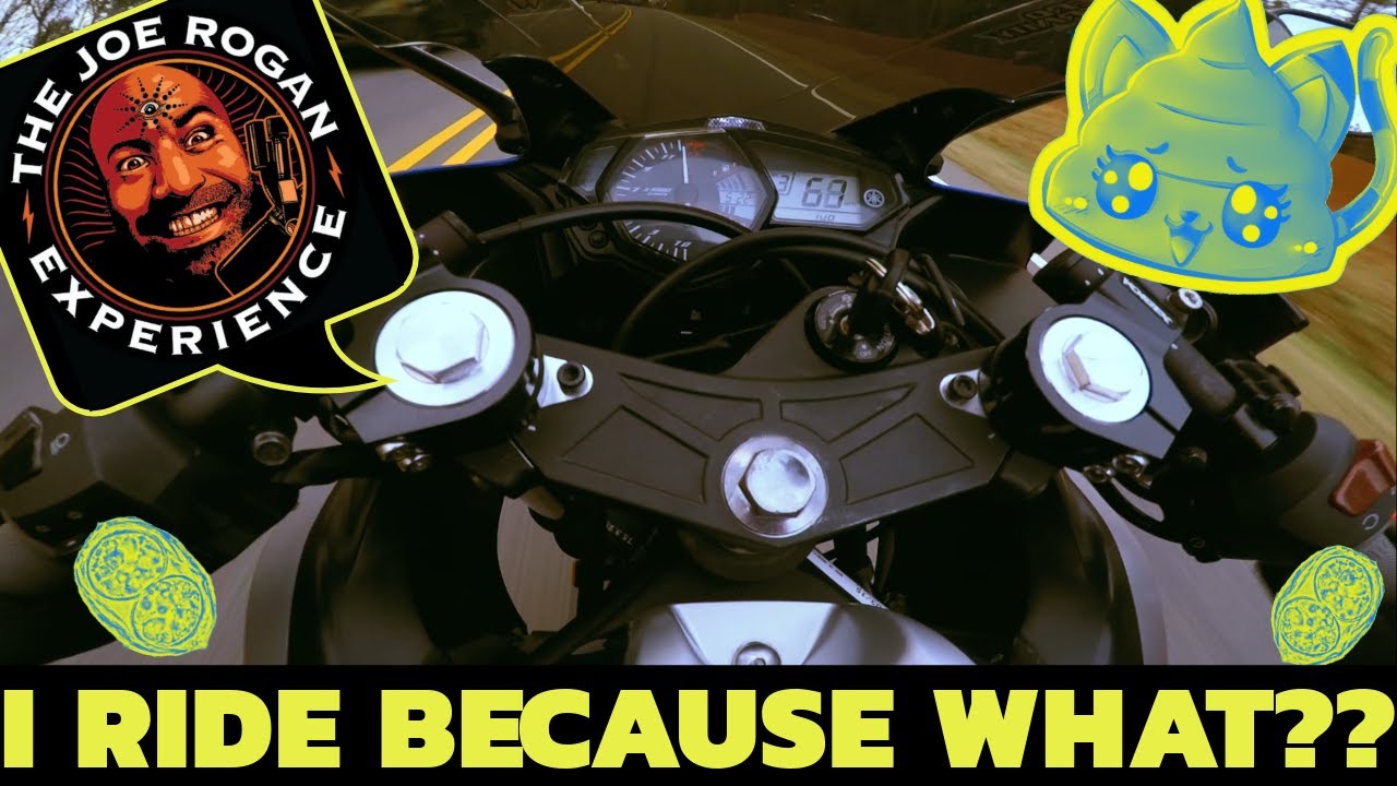 Is toxoplasmosis a legit concern for motorcyclists? YouTube Is toxoplasmosis a legit concern for motorcyclists? YouTube