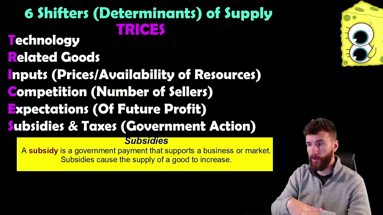 Supply (Law of Supply and Shifters of Supply) YouTube