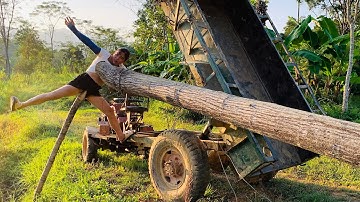 agricultural vehicle transporting wood girl loading wood quite dangerous