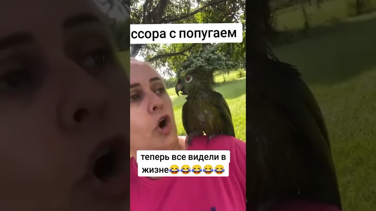 Поссорились😂😂😂