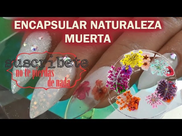 COMO ENCAPSULAR FLORES O NATURALEZA MUERTA EN UÑAS ACRYLICAS 💐 