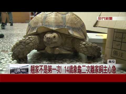 殯儀館象龜蹺家 險遭擄走幸找回