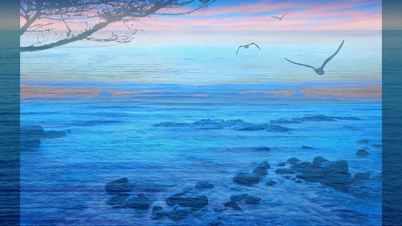 110 Top Ocean Wallpaper Designs of 2020   Clear Wallpaper