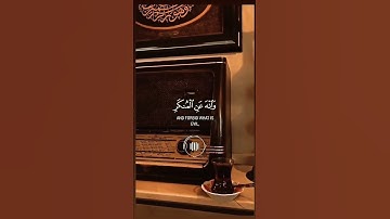 آيات بينات من الذكر الحكيم ♥️