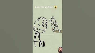 #animation #4kmeme #animationmeme #funny #cartoon #memes #nutshellgroup #chava #comedy #meme