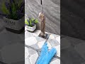 Video Image