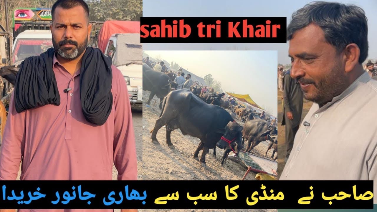 Gari ky dono tair panchr 