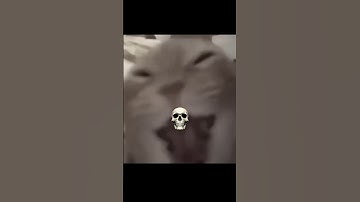 Free Magic Cube 🙀 #shorts #freefire