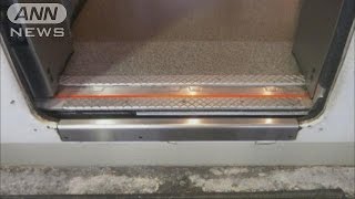 新幹線の「保護板」が無い・・・走行中に外れたか？(15/09/09)