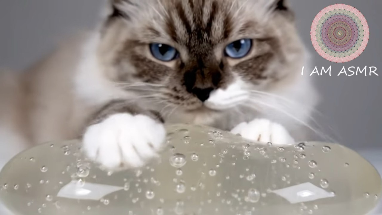 Google Veo 3 AI ASMR Compilation with Prompts - Glass Fruit Cutting