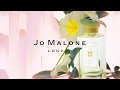 Brilliant blossoms  jo malone london